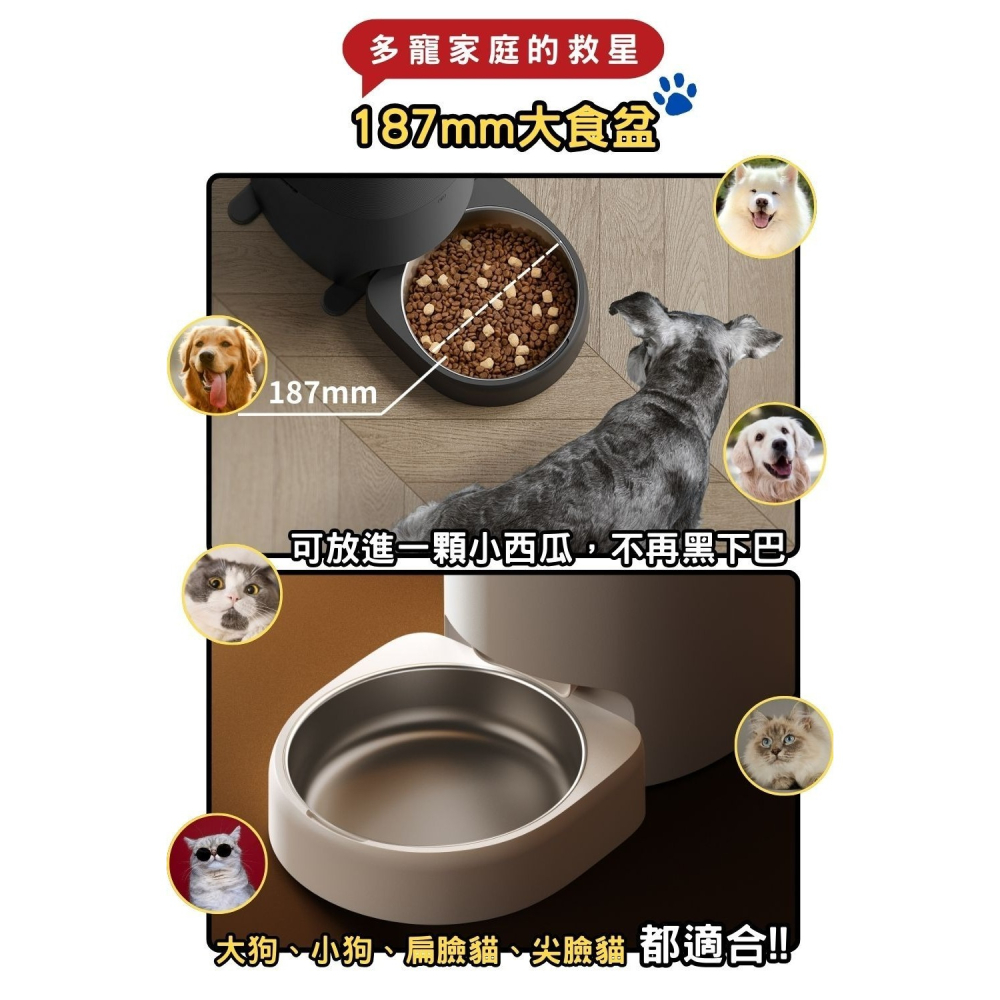 【免運】PETLIBRO🔥Space 8L真空餵食器｜APP操作📢譽的生食舖【保證正品】【📌25/08】-細節圖9