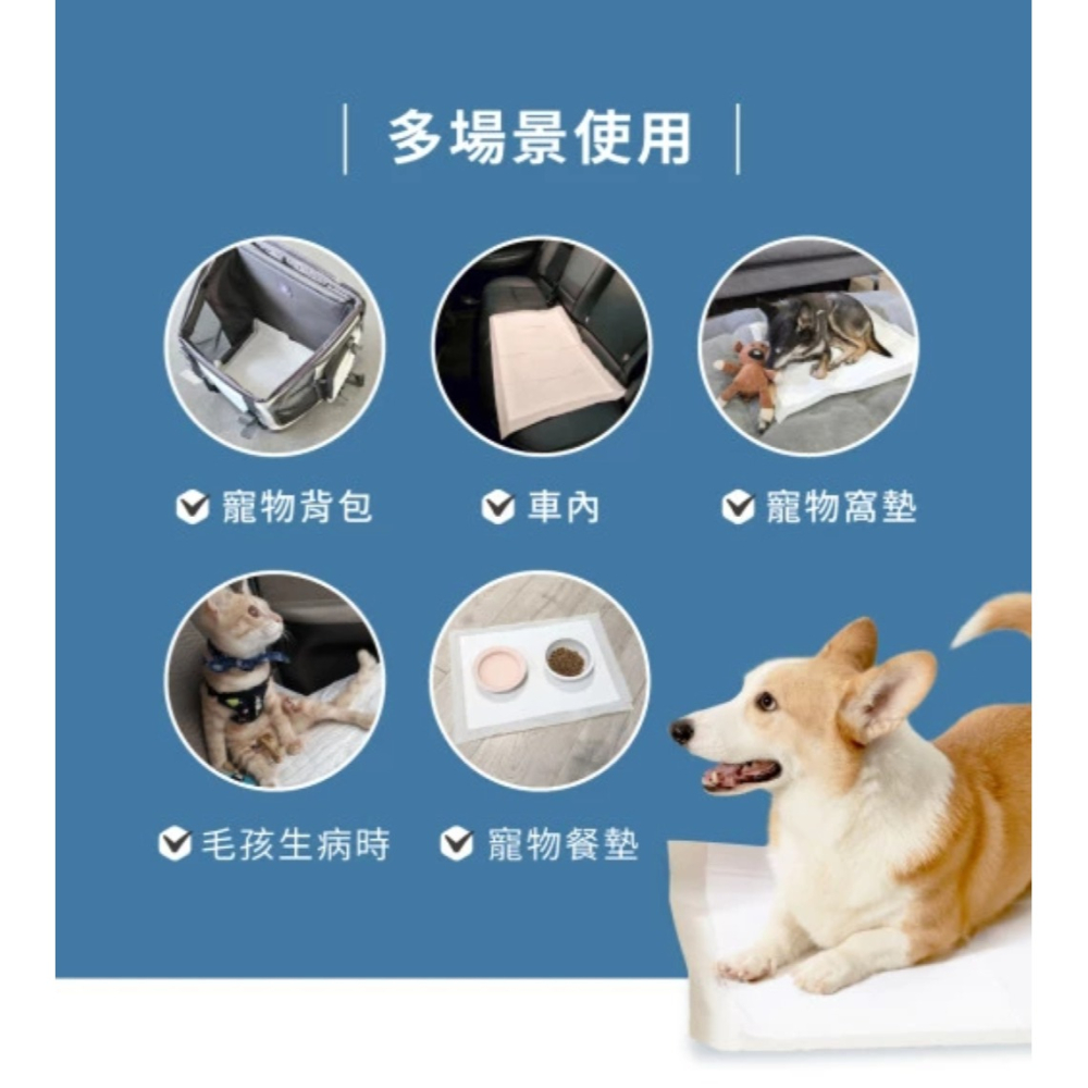 【免運】汪喵星球🔥3D蜂巢瞬吸除臭尿布墊｜多件優惠📢譽的生食舖【保證正品】【📌25/08】-細節圖7