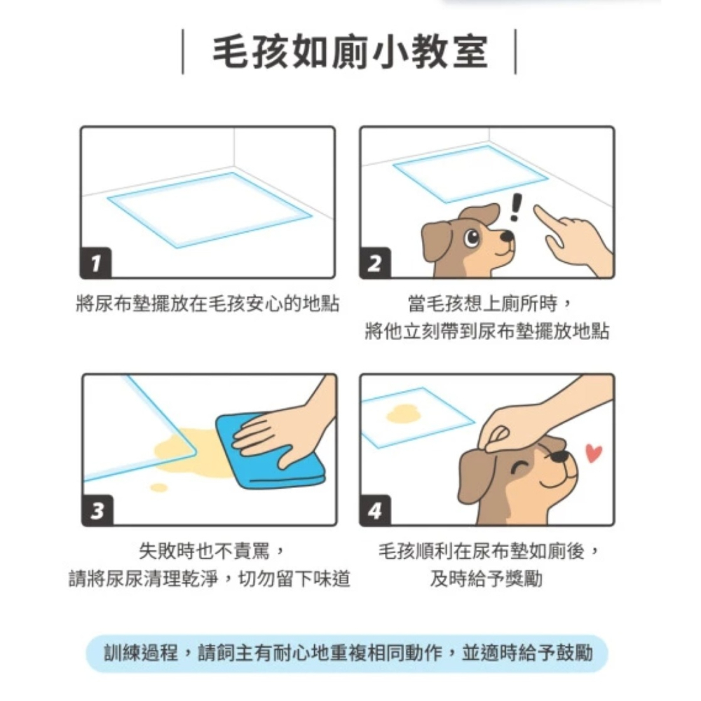 【免運】汪喵星球🔥3D蜂巢瞬吸除臭尿布墊｜多件優惠📢譽的生食舖【保證正品】【📌25/08】-細節圖8