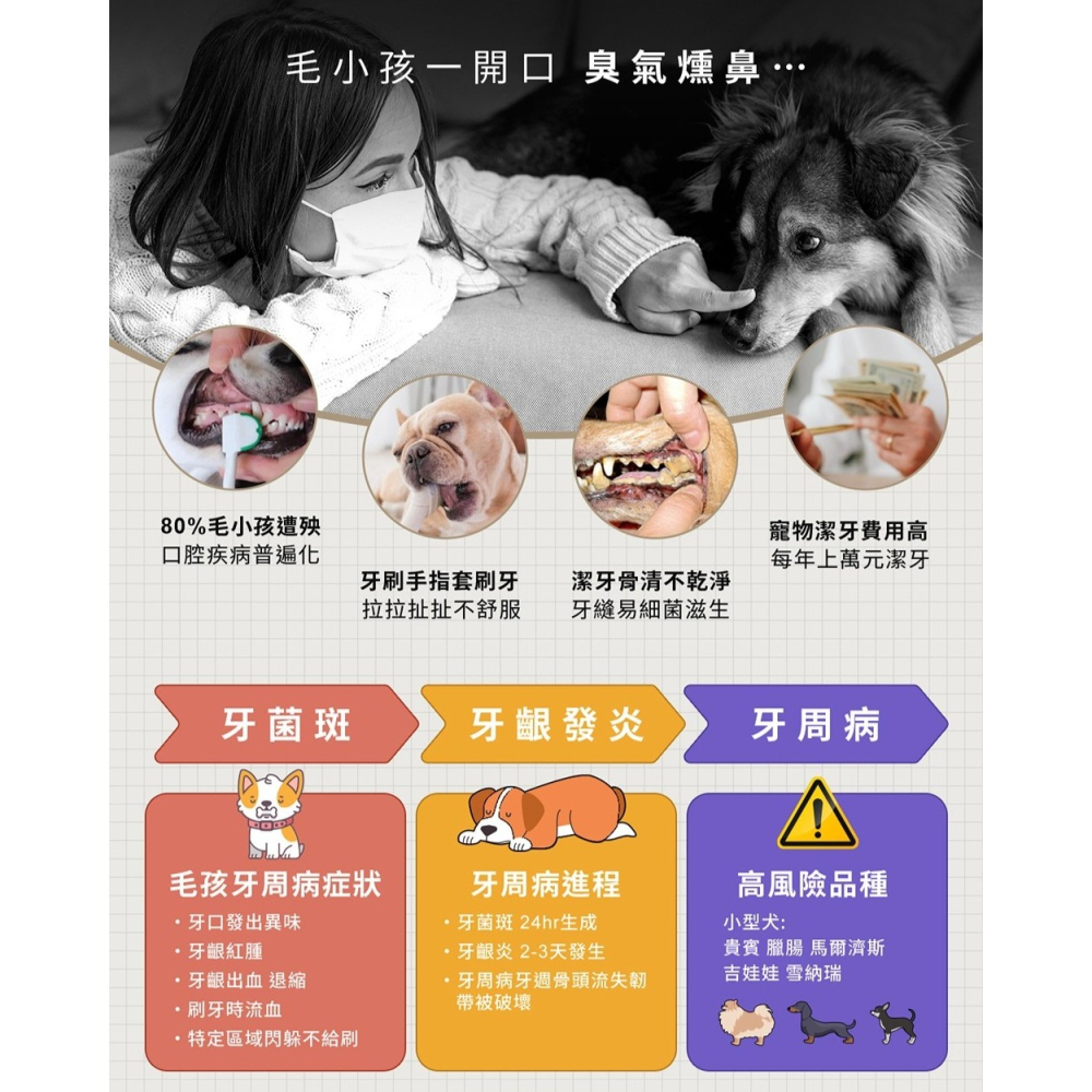 【免運】寶可齡🔥寵物All in One潔牙機｜多件優惠📢譽的生食舖【保證正品】【📌25/08】-細節圖2