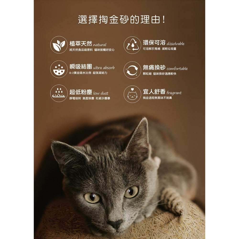 【免運】Plant🔥輕植系掏金砂｜多件優惠🔸植物酵素🔸五道除塵🔸瞬吸📢譽的生食舖【保證正品】【📌25/10】-細節圖2