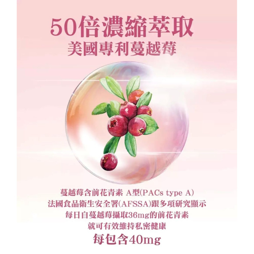 【免運】艾思維康🔥蔓越莓益生菌｜多件優惠🔸洛神花萼🔸甘露糖🔸玻尿酸📢譽的生食舖【保證正品】【📌25/11】-細節圖3