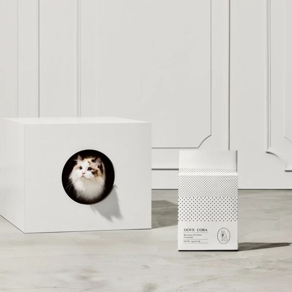 【免運】DOVE CORA 朵芙寇拉🔥超凝結無香礦砂｜多件優惠🔸活性碳📢譽的生食舖【保證正品】【📌25/11】-細節圖2