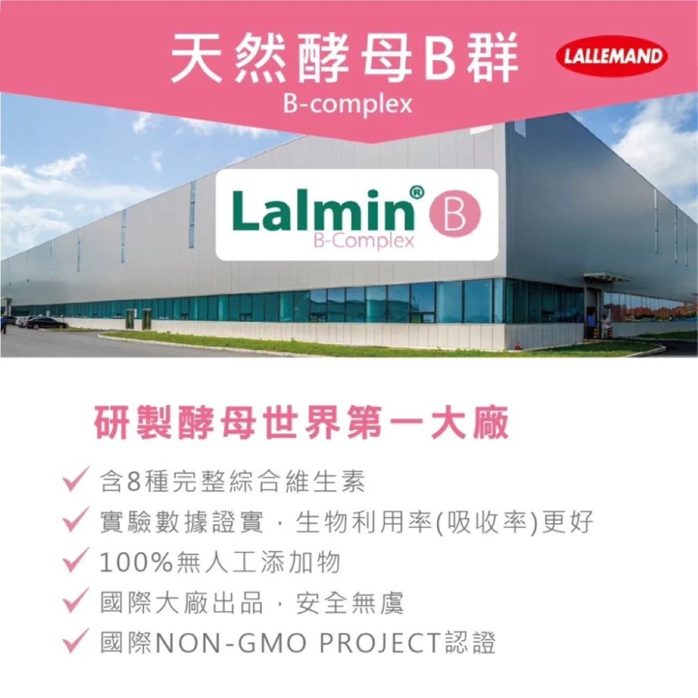 【會員優惠】MedBIO 美百優🔥酵母B群ｘ專利鐵｜葉酸🔸維生素🔸牛磺酸🔸生物素📢譽的生活美食舖📌25/12-細節圖5