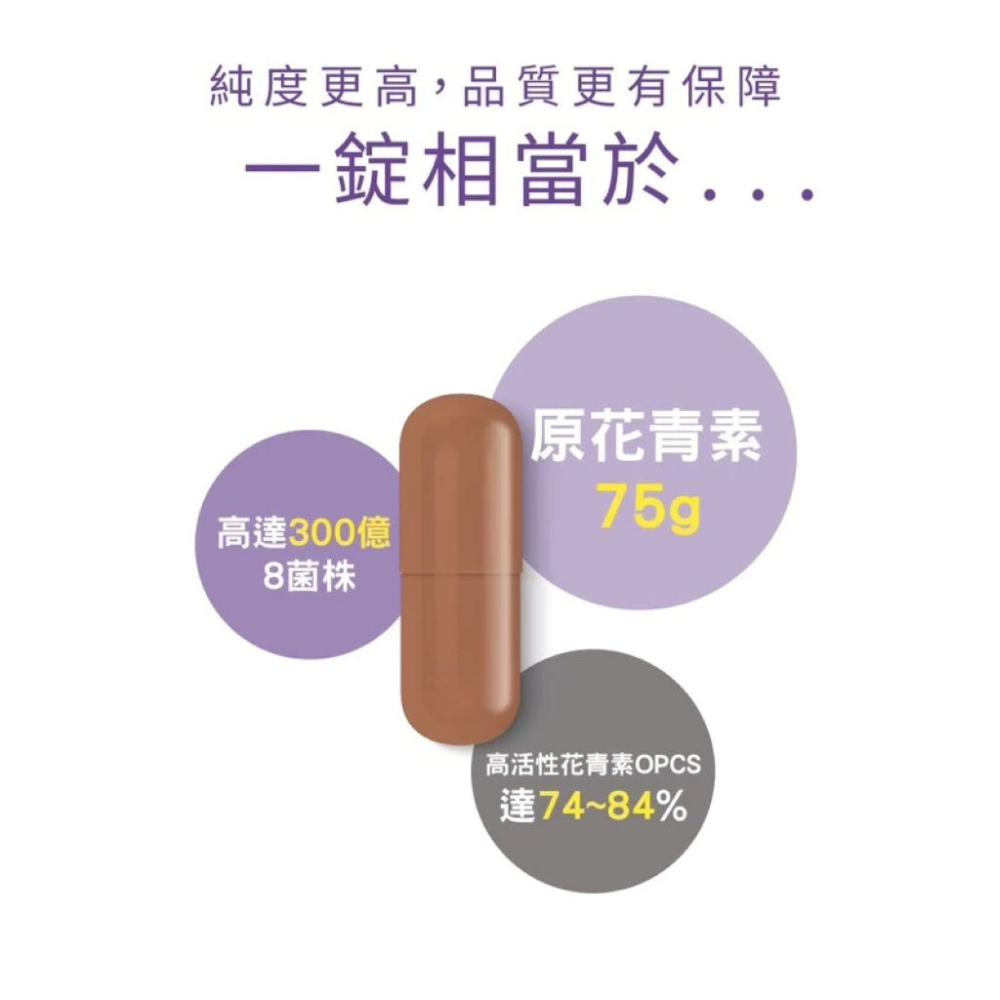 【會員優惠】MedBIO 美百優🔥OPC-3葡萄籽益生菌｜八益菌🔸松樹皮🔸葡聚醣📢譽的生活美食舖📌25/12-細節圖4
