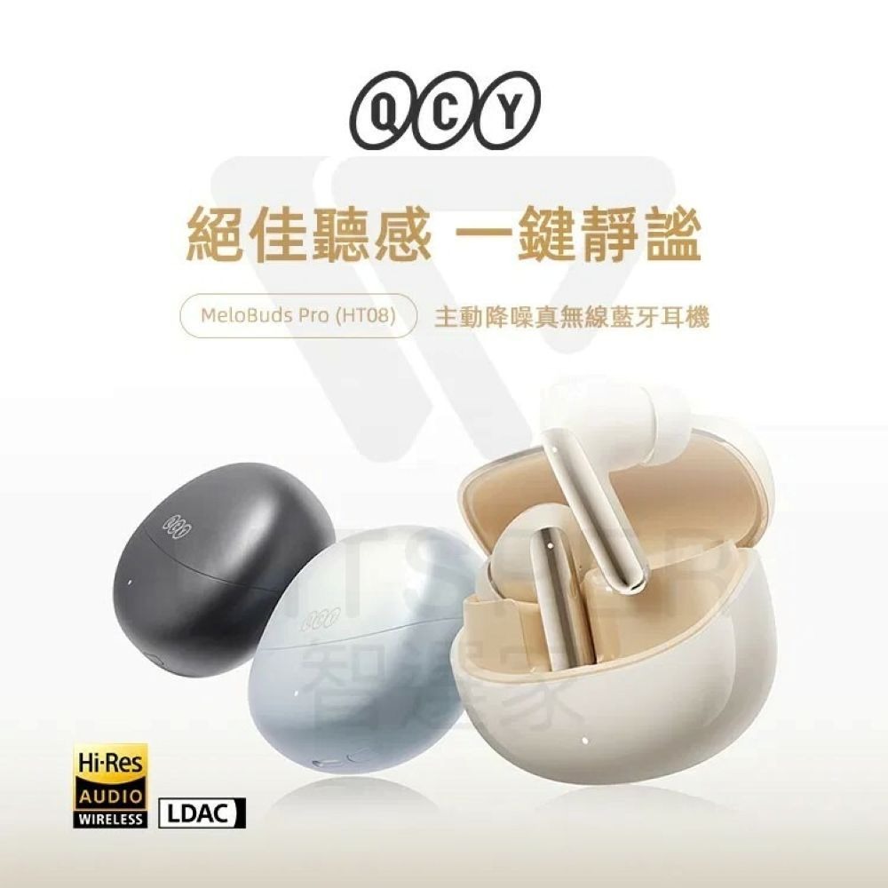 🎧真無線藍牙耳機｜金色，會員：1275
