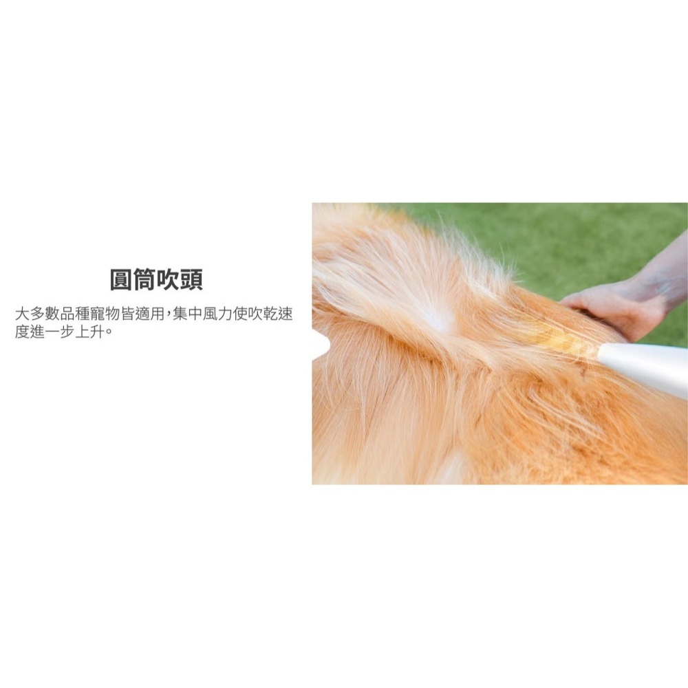 【會員優惠】Oneisall🔥2合1寵物美容真空吸毛器｜吹毛🔸吸毛🔸梳毛🔸順毛📢譽的生活美食舖 📌26/01-細節圖6