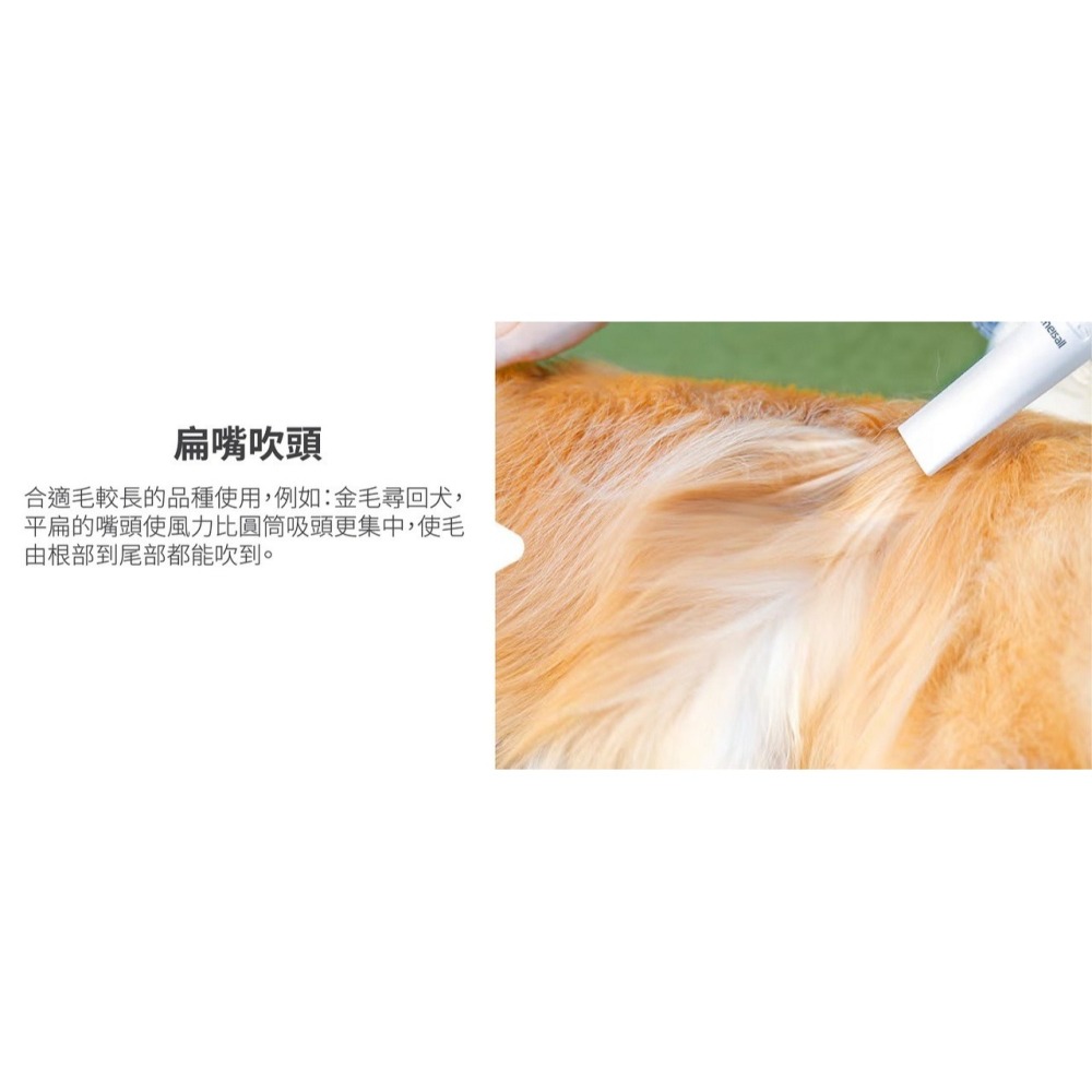 【會員優惠】Oneisall🔥2合1寵物美容真空吸毛器｜吹毛🔸吸毛🔸梳毛🔸順毛📢譽的生活美食舖 📌26/01-細節圖7