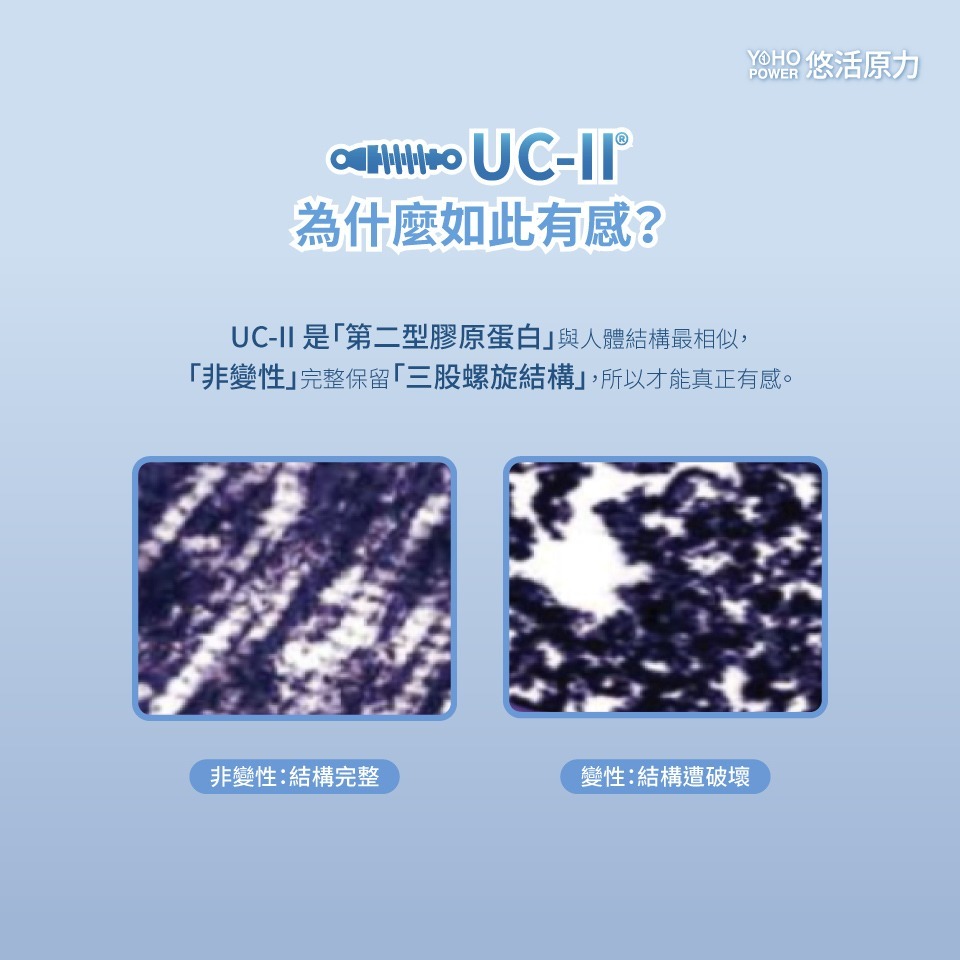 【會員優惠】悠活原力🔥悠活關健複方膠囊UC-ll＋玻尿酸鈉｜薑黃🔸橄欖🔸貓抓藤📢譽的生活美食舖 📌26/01-細節圖3