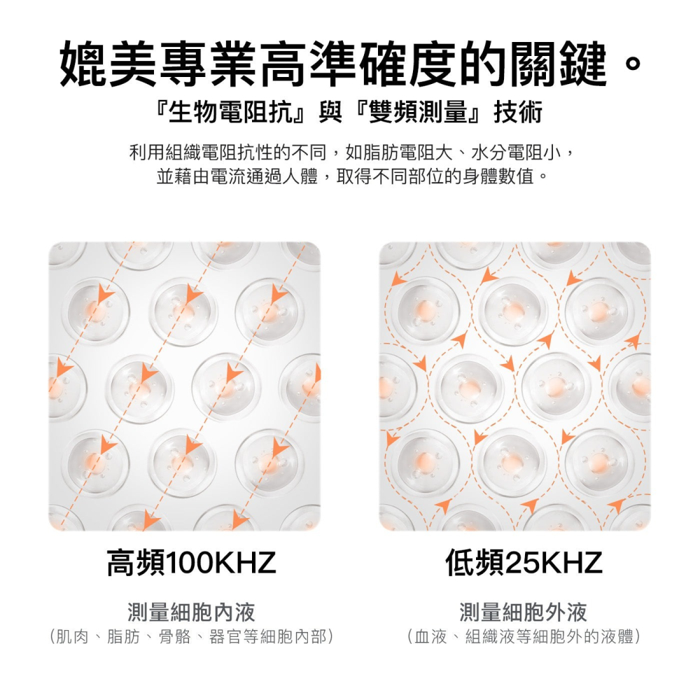 【會員優惠】WONDERCORE🔥FitSpecｘ身體組成分析儀｜體重🔸體脂🔸肌肉📢譽的生活美食舖 📌2602-細節圖11