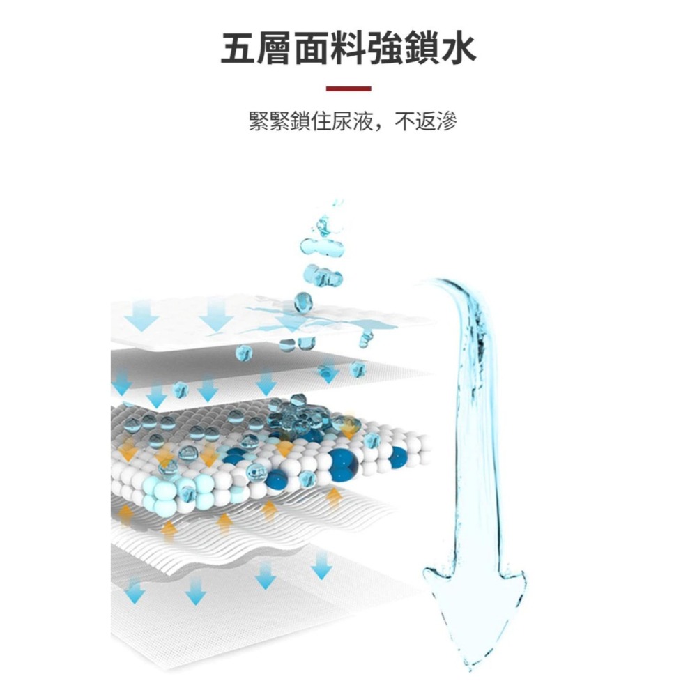 【會員優惠】KOJIMA🔥寵物尿墊｜五層面料🔸瞬間吸收🔸加厚除味🔸清爽柔軟📢譽的生活美食舖 📌26/02-細節圖3