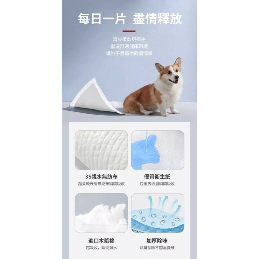【會員優惠】KOJIMA🔥寵物尿墊｜五層面料🔸瞬間吸收🔸加厚除味🔸清爽柔軟📢譽的生活美食舖 📌26/02-細節圖5