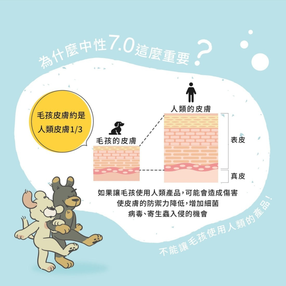 【會員優惠】毛孩站起來🔥狗狗洗毛精｜洗淨除臭🔸驅蟲抗蚤🔸深層潔淨🔸溫和舒敏📢譽的生活美食舖 📌26/03-細節圖2