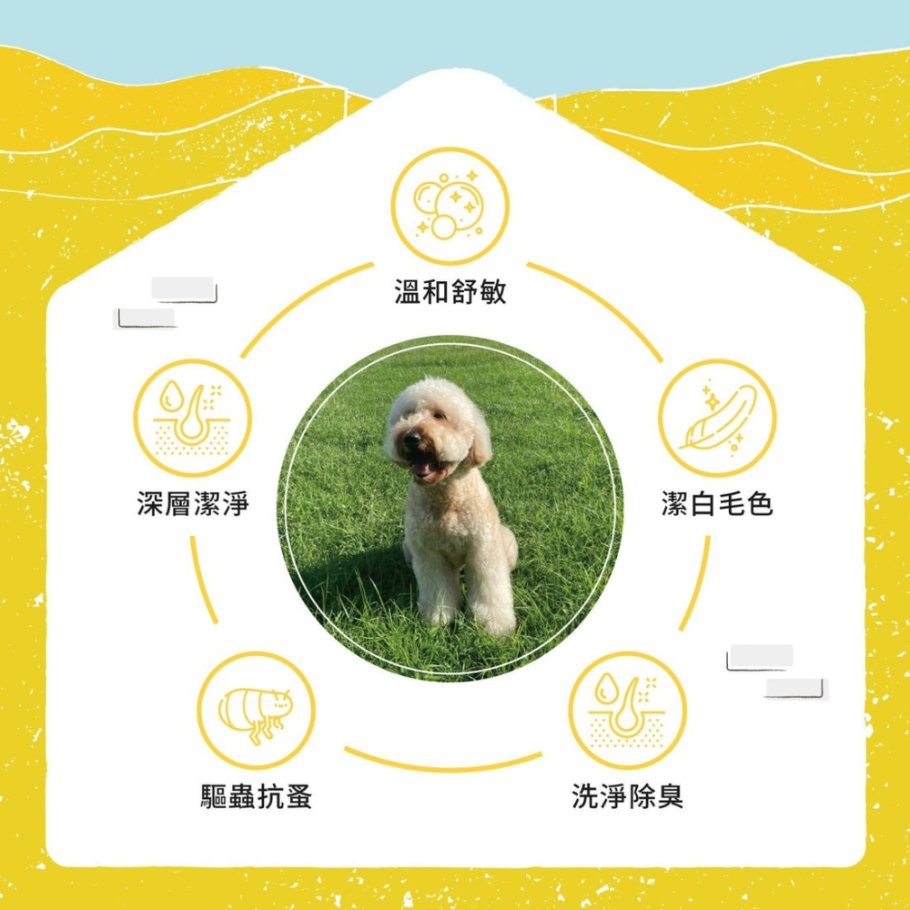 【會員優惠】毛孩站起來🔥狗狗洗毛精｜洗淨除臭🔸驅蟲抗蚤🔸深層潔淨🔸溫和舒敏📢譽的生活美食舖 📌26/03-細節圖3