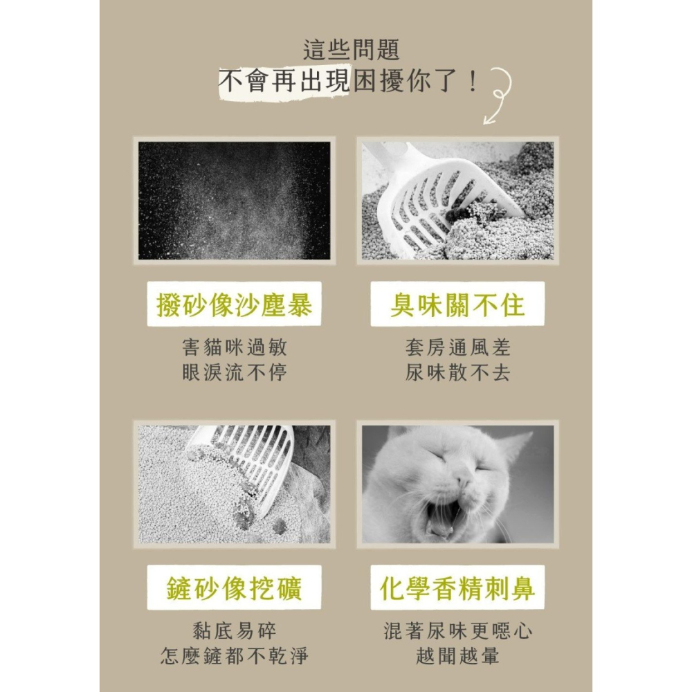 【會員優惠】草恩貓砂🔥Catchｘ淨礦砂｜瞬凝🔸鎖臭🔸低粉塵🔸活性碳🔸綠沸石📢譽的生活美食舖 📌26/03-細節圖3