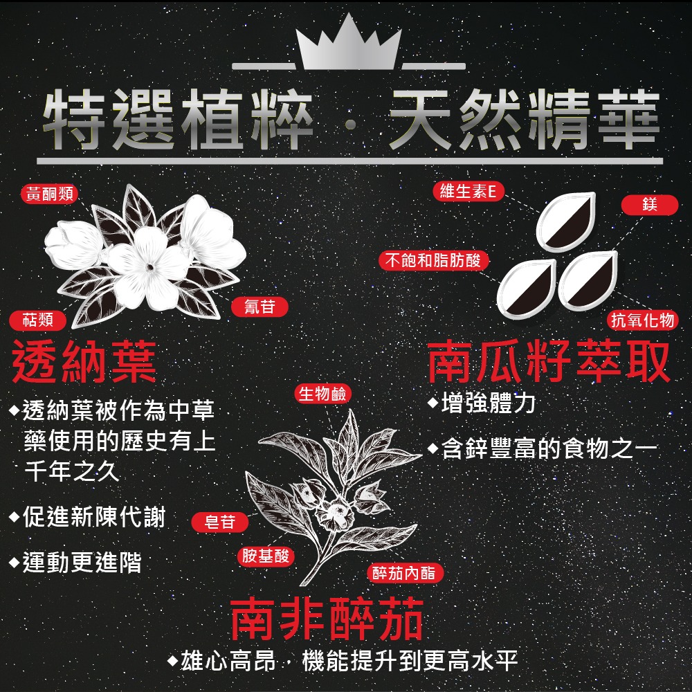 【會員優惠】果利生技🔥鋅動力ｘ瑪卡鋅雙活膠囊｜透納葉🔸精胺酸🔸南非醉茄🔸BCAA📢譽的生活美食舖📌26/03-細節圖8