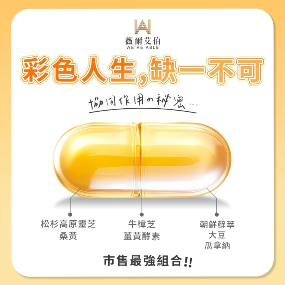 【會員優惠】薇爾艾伯🔥牛樟芝薑黃｜桑黃🔸大豆🔸瓜拿納🔸靈芝🔸酵素🔸朝鮮薊📢譽的生活美食舖📌26/05-細節圖5
