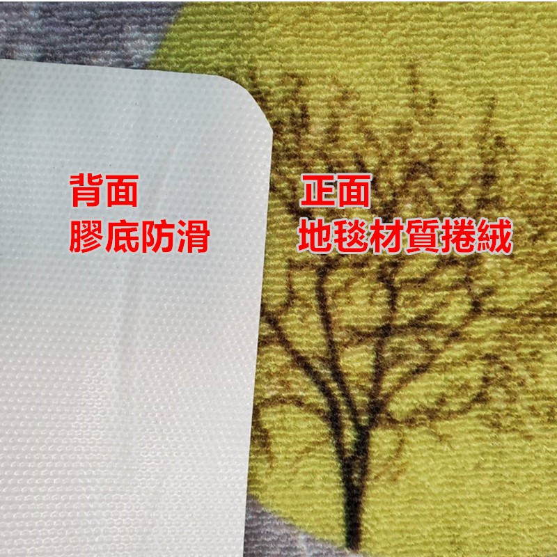 佳冠附發票~秋意 捲絨吸水踏墊尺寸約:45*70公分，膠底防滑，吸水地墊 室內室外踏墊 床前墊 門口墊  踏墊 地毯-細節圖5