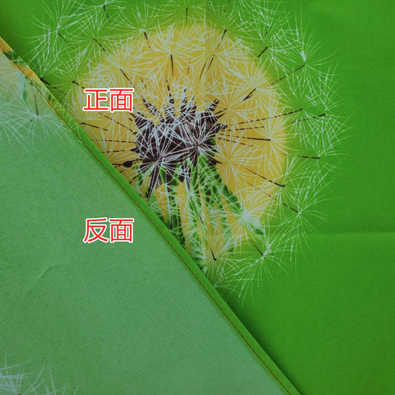 佳冠附發票~綠 加長蒲公英花園風水簾麻布風水簾門簾 自行車 腳踏車門簾，尺寸約:85*175CM 一片式無開 裝飾簾-細節圖4