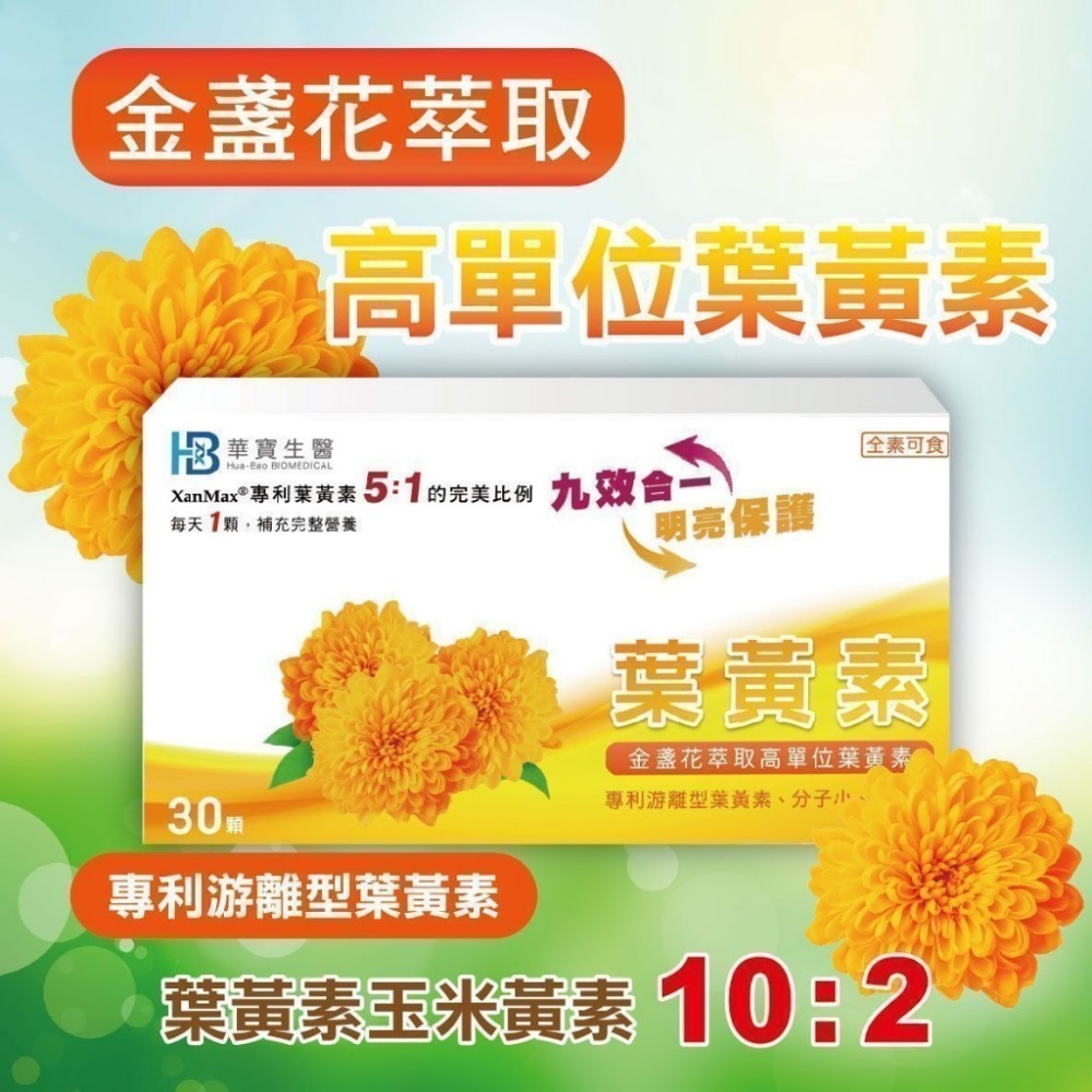 代購【營養食品】攝立準 魚油 納豆紅麴 舒芷敏益生菌 便秘益 膠原蛋白 游離型葉 黃素-規格圖10