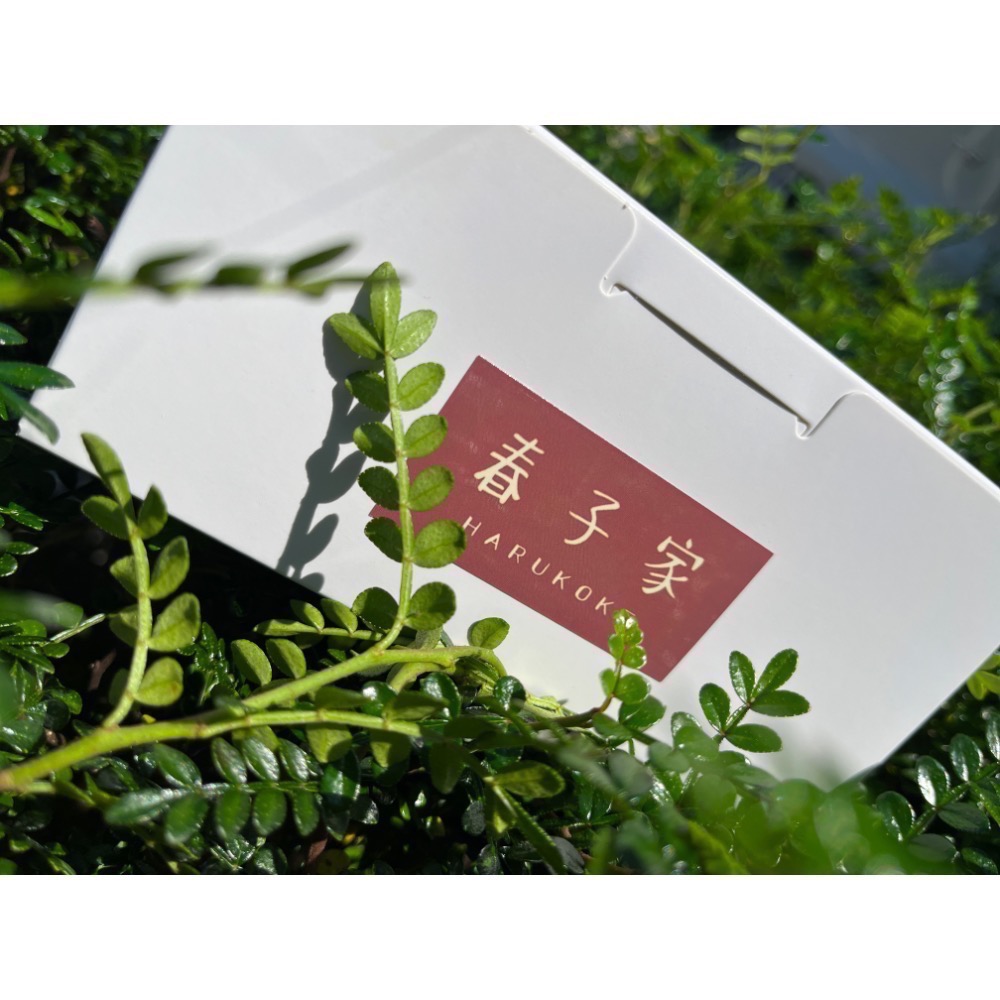 春子家巴斯克乳酪蛋糕6吋 原味/桂花玄米/芝麻/金沙芋泥-細節圖3
