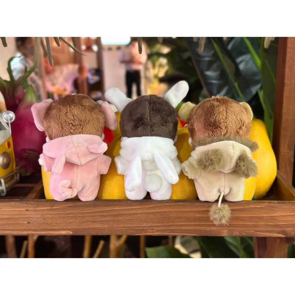 5／17更新【木鬼娃娃 木鬼娃衣】博肖棉花娃娃-細節圖3