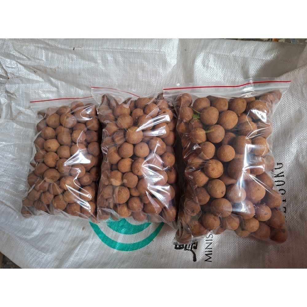 台灣東山名產📍柴燒龍眼乾一斤（600g)-細節圖4