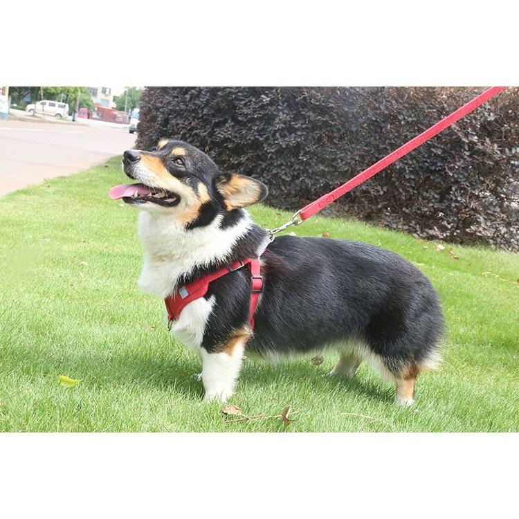3001🐾現貨🐾狗胸背帶 中小型犬 麂皮絨  寵物防爆衝 反光胸揹帶 輕盈透氣法鬥胸背 狗狗牽引繩-細節圖6