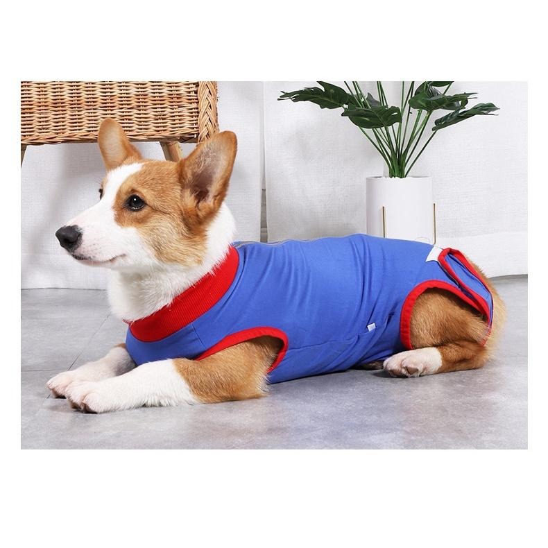 1014寵物狗狗絕育服🌈現貨 術后康復服 防舔  魔術貼條斷奶服 防護服 中小型犬 高彈性透氣 親膚緊包-細節圖4