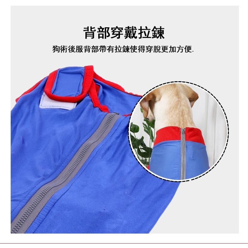 1014寵物狗狗絕育服🌈現貨 術后康復服 防舔  魔術貼條斷奶服 防護服 中小型犬 高彈性透氣 親膚緊包-細節圖8