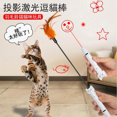 4017💫現貨💫多功能激光逗貓棒貓 蘚檢測棒 USB圖案 長桿羽毛逗貓筆 可愛造型 雷射