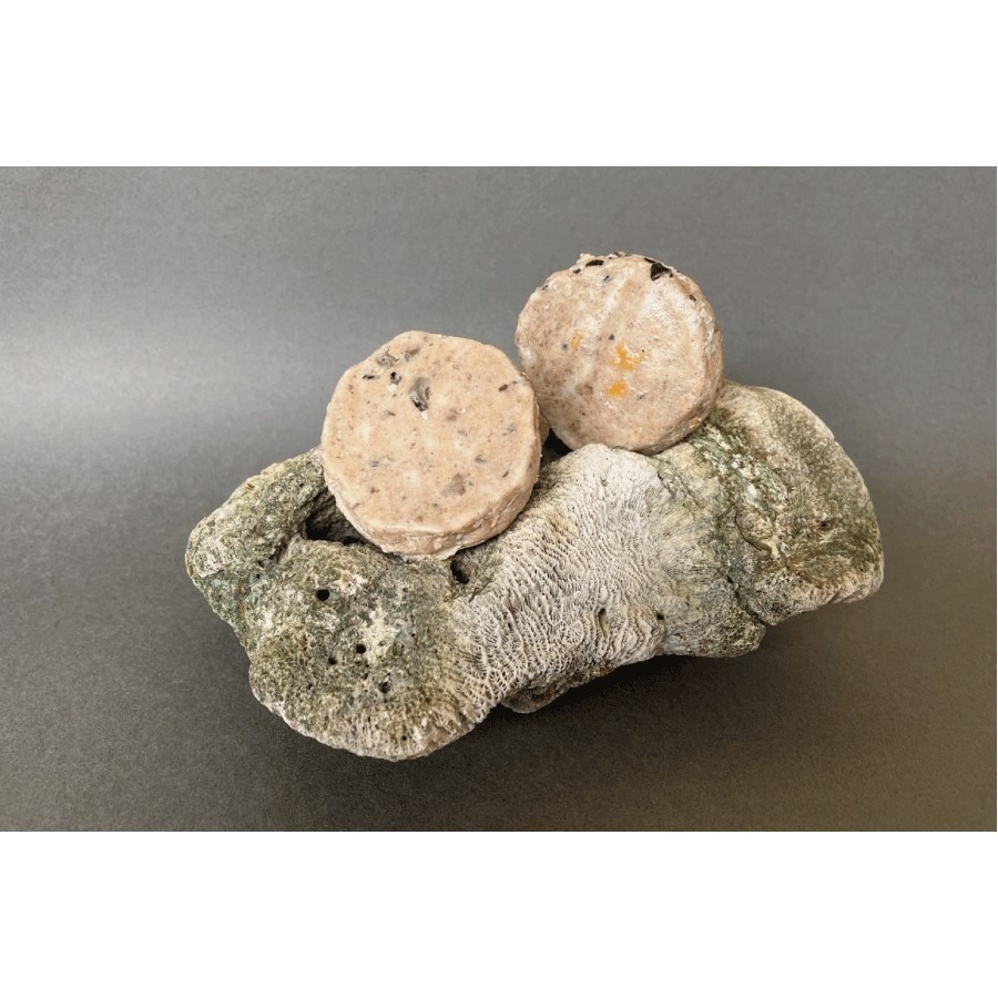 【一起覓Eat me】貓_骨質保健 寵物舒肥鮮食 寵物鮮食 貓貓主食 舒肥鮮食 Eat me 一起覓 貓咪鮮食-細節圖2