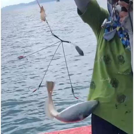 【魚戰釣具】剝皮魚最強釣組 三叉天平 三叉鉤-細節圖6