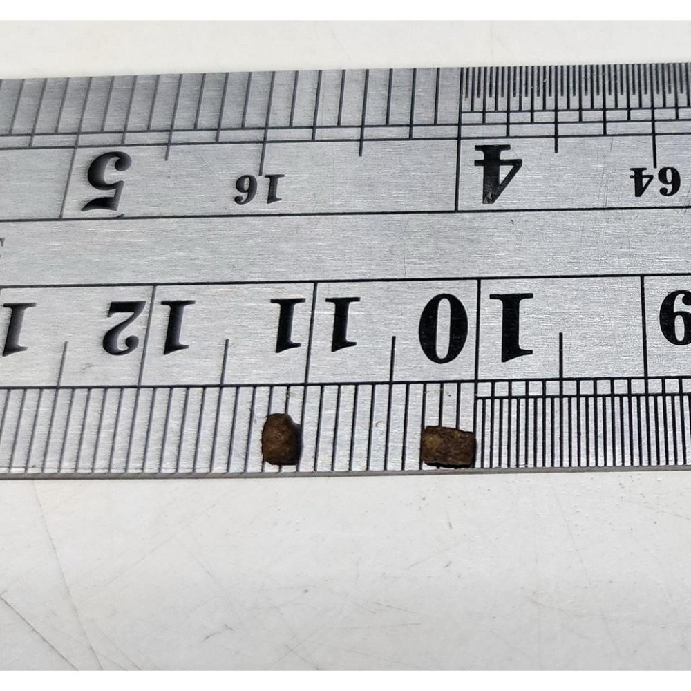 【魚戰釣具】鰻魚浮水粒子  可飼養中小型觀賞魚 最佳營養魚飼料 福壽 鯽魚  鯉魚 日鯽 魚餌 拉絲  綜合餌  狀態粉-細節圖3