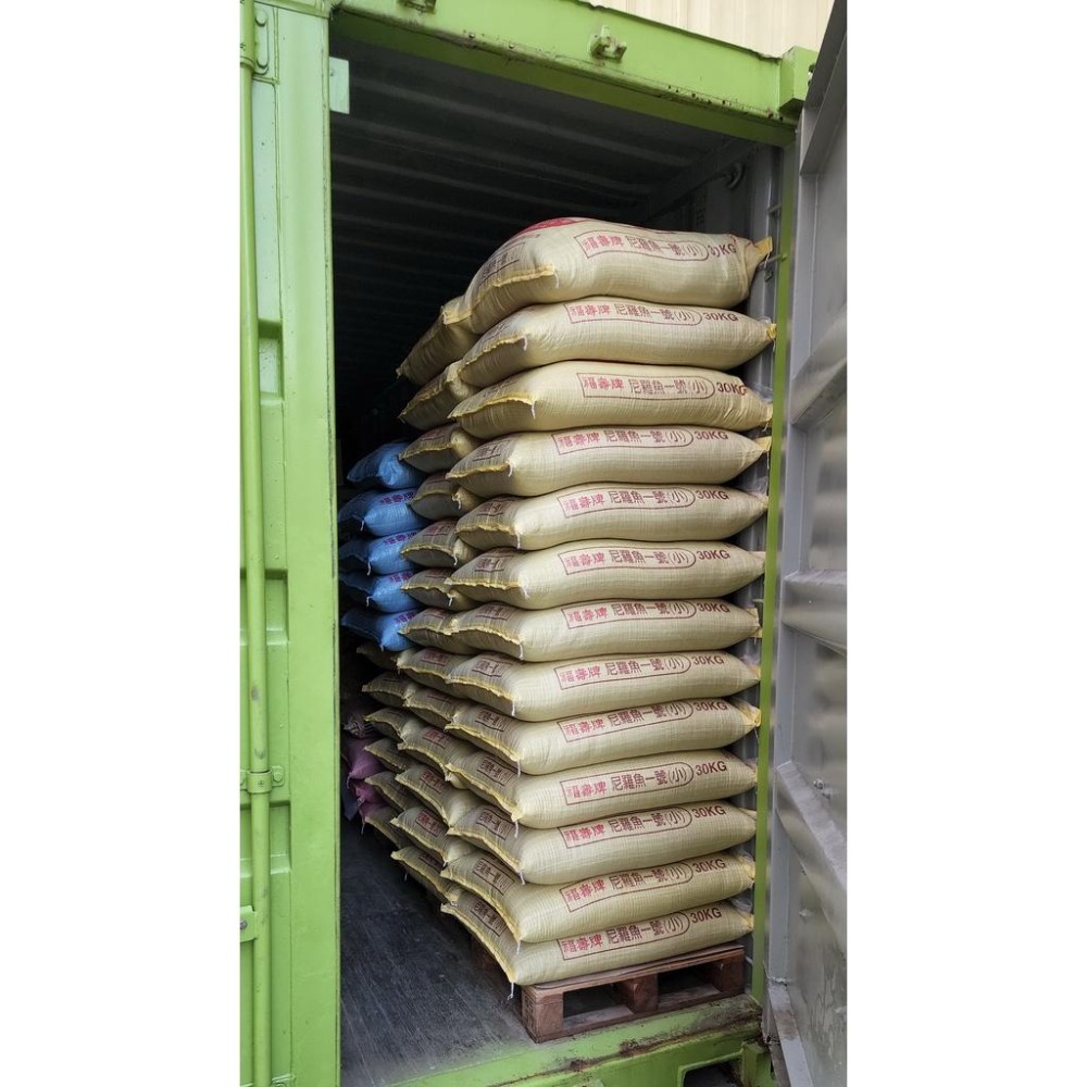 【魚戰釣具】鰻魚浮水粒子  可飼養中小型觀賞魚 最佳營養魚飼料 福壽 鯽魚  鯉魚 日鯽 魚餌 拉絲  綜合餌  狀態粉-細節圖5