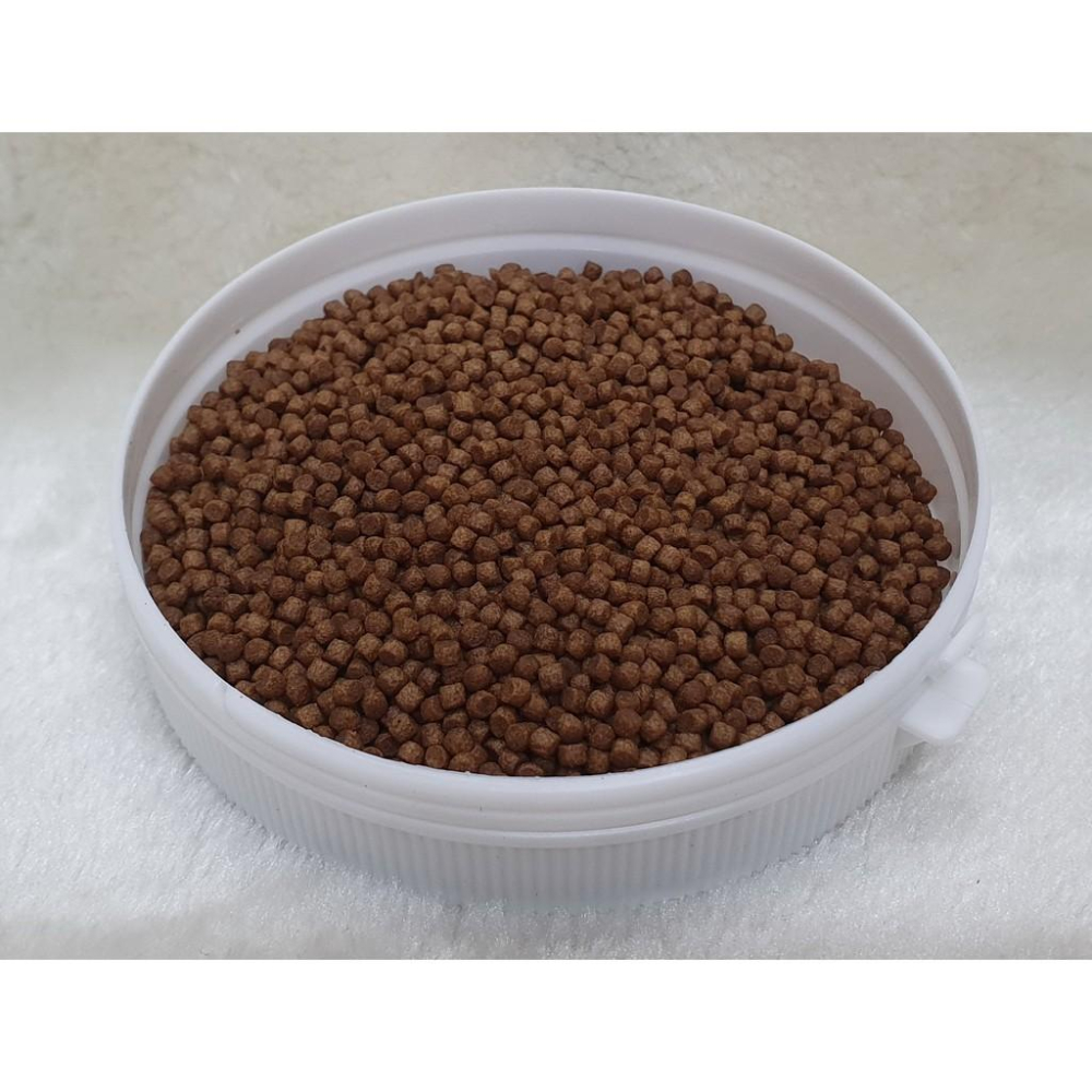 【魚戰釣具】鰻魚浮水粒子  可飼養中小型觀賞魚 最佳營養魚飼料 福壽 鯽魚  鯉魚 日鯽 魚餌 拉絲  綜合餌  狀態粉-細節圖2