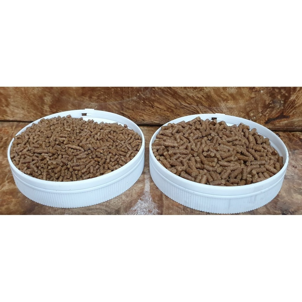 【魚戰釣具】福壽牌 尼羅魚1號黑粒子 福壽 鯽魚  鯉魚 日鯽 魚餌 拉絲  綜合餌  狀態粉-細節圖2