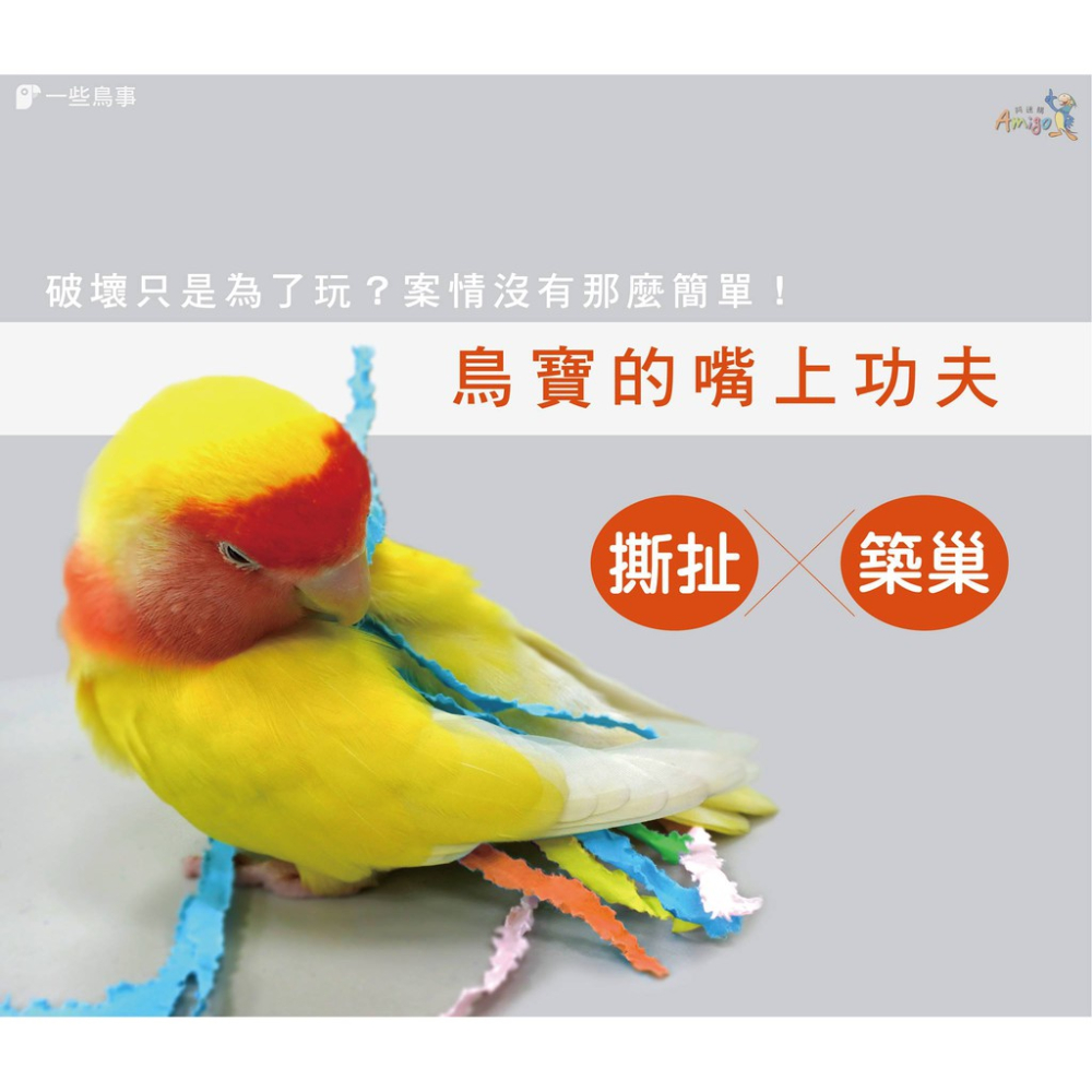 實體門市｜快樂鉛筆｜鸚鵡玩具｜中小型｜小型｜阿迷購｜和尚｜虎皮｜愛情鳥｜玄鳳｜小太陽｜翔帥寵物生活館-細節圖2