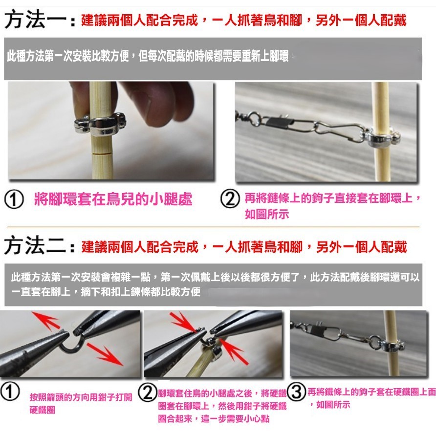 實體門市｜鸚鵡腳環組｜鳥類活動腳環｜鸚鵡腳環｜活動腳環｜鳥類用品｜腳環配件｜可勾外出繩｜翔帥寵物生活館-細節圖2