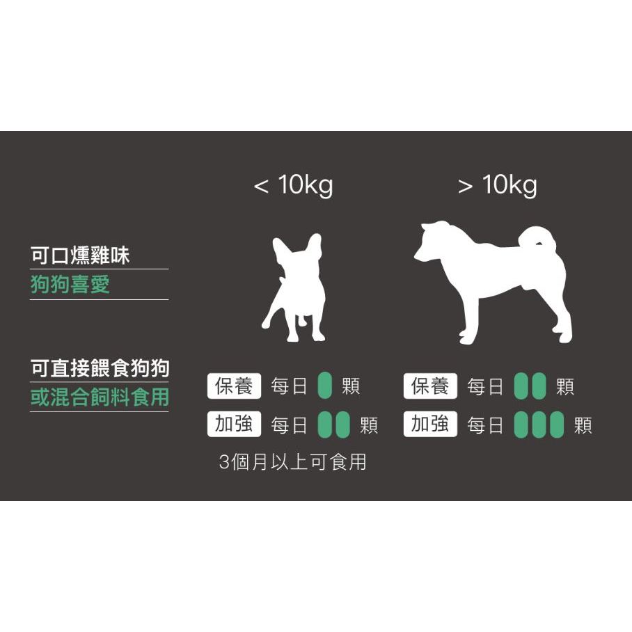 實體門市 ｜木入森 Moreson｜珍心動｜犬寶珍心動｜狗狗｜Q10｜翔帥寵物生活館-細節圖2