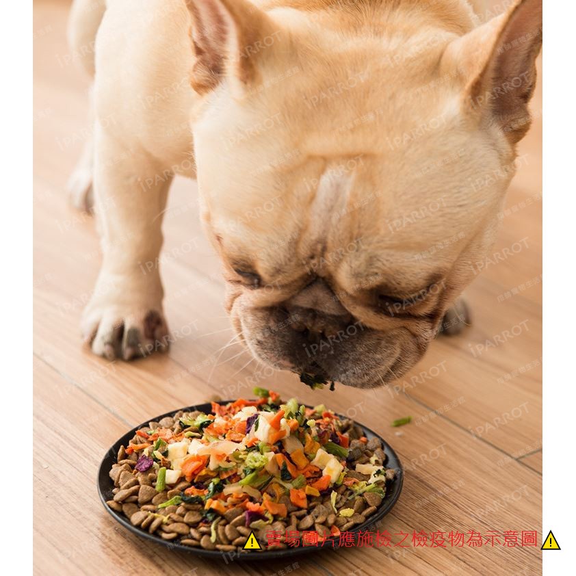 實體門市｜蔬果乾｜綜合果乾｜新鮮可口｜大份量包裝蔬果乾｜寵物飼料｜增加口感｜翔帥寵物生活館｜AAA-細節圖4