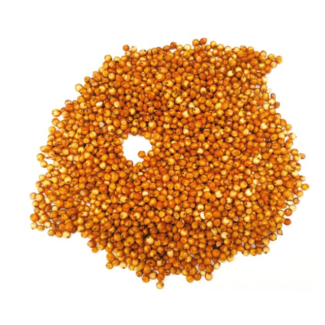 實體門市｜翔帥寵物生活館｜小寵天然零嘴｜鸚鵡｜倉鼠｜飼料｜紅高粱種子｜精選穀物｜小寵｜黃金鼠｜三線鼠｜老公公｜AAA-細節圖3