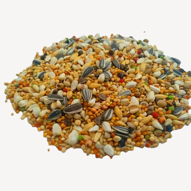 實體門市｜翔帥嚴選鸚鵡飼料｜鸚鵡飼料｜中小型鸚鵡｜中大型鸚鵡｜中長尾鸚鵡飼料｜特級鸚鵡飼料｜鸚鵡主食｜翔帥寵物生活館-細節圖3