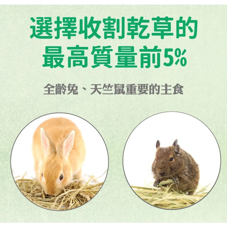 實體門市｜Pet Village｜魔法兔｜美國特級｜提摩西牧草｜小寵牧草｜天竺鼠｜兔子｜小動物｜翔帥寵物生活館-細節圖2