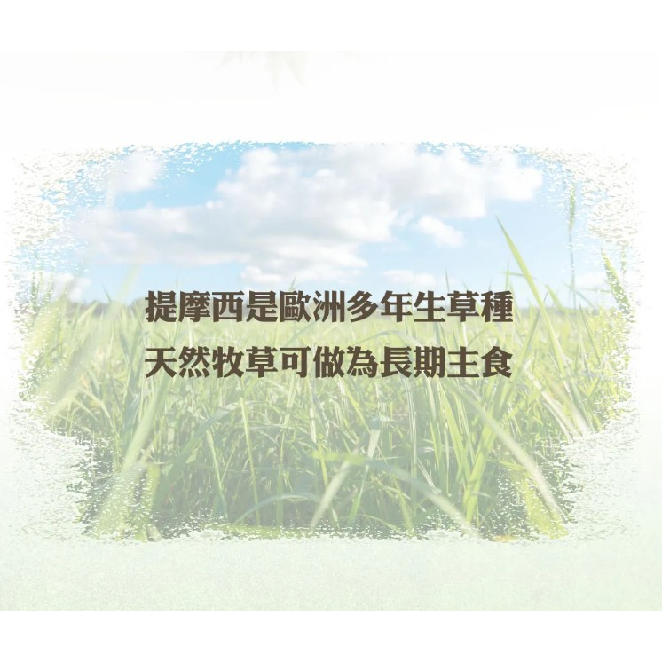 實體門市｜Pet Village｜魔法兔｜美國特級｜提摩西牧草｜小寵牧草｜天竺鼠｜兔子｜小動物｜翔帥寵物生活館-細節圖3