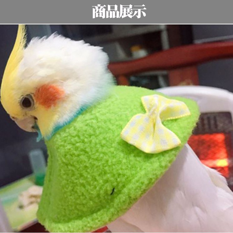 實體門市｜鸚鵡項圈｜翔帥嚴選鳥項圈｜鳥類頸圈｜布類頸圈｜鸚鵡頸圈｜鳥頸圈｜小動物頸圈｜蜜袋鼯頸圈｜翔帥寵物生活館-細節圖6