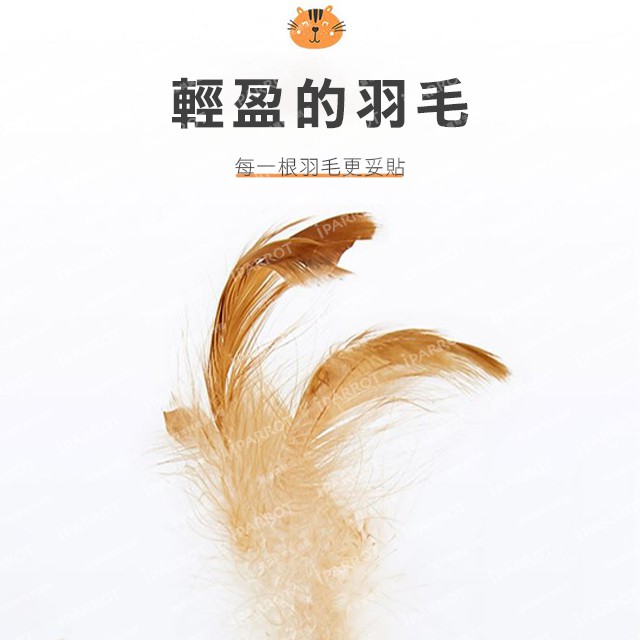 實體門市｜逗貓棒玩具套組｜貓玩具｜貓咪七件禮盒｜貓玩具套裝｜逗貓組合套裝｜超值組｜翔帥寵物生活館-細節圖6