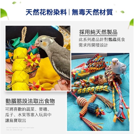 實體門市｜Pleasures｜美國普拉尼｜星球串｜鸚鵡玩具｜鸚鵡啃咬玩具｜鳥玩具｜鳥啃咬玩具｜翔帥寵物生活館-細節圖2