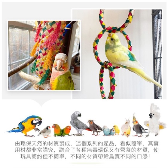 實體門市｜Pleasures｜美國普拉尼｜星球串｜鸚鵡玩具｜鸚鵡啃咬玩具｜鳥玩具｜鳥啃咬玩具｜翔帥寵物生活館-細節圖3