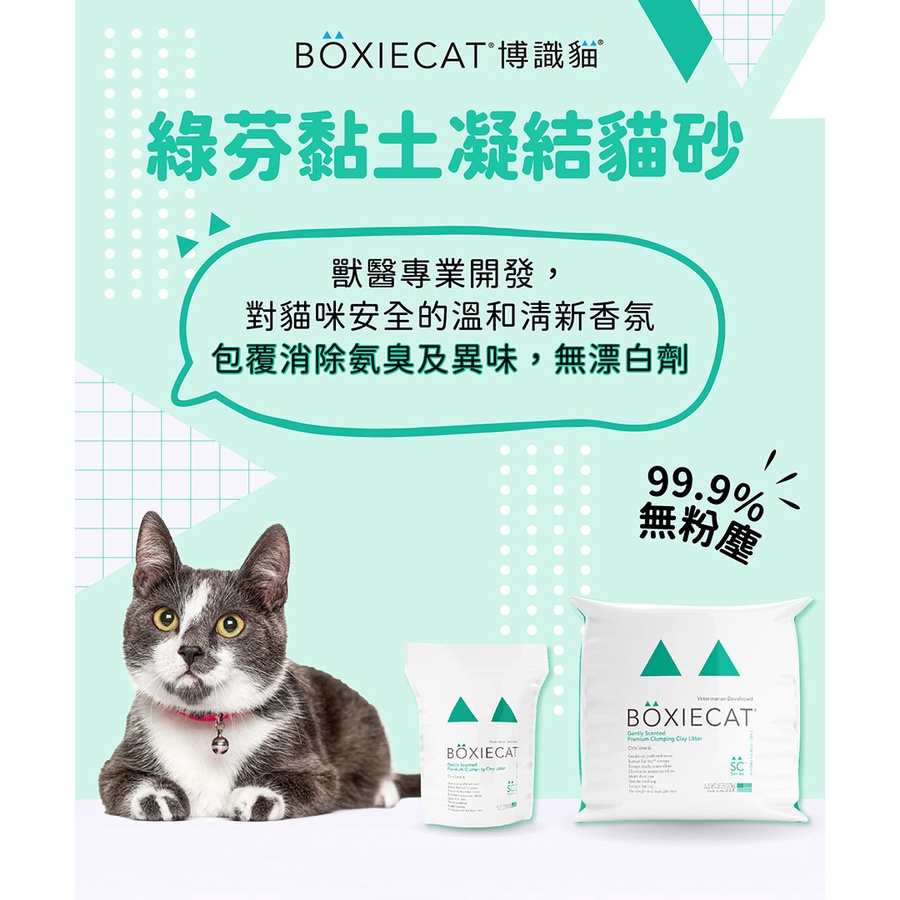 🚚宅配免運🚚｜博識貓｜美國博識貓 BOXIECAT｜可混搭｜黏土凝結貓砂｜原味｜綠芬｜強效｜兩包免運｜翔帥寵物生活館-細節圖5